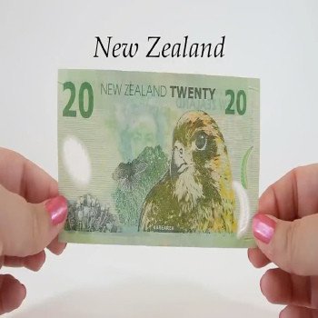 Buy Counterfeit NZD $20 Dollar Banknotes